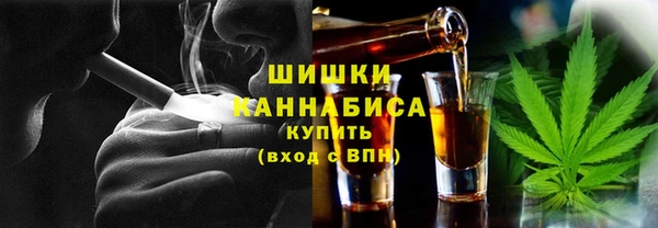 ПСИЛОЦИБИНОВЫЕ ГРИБЫ Вяземский