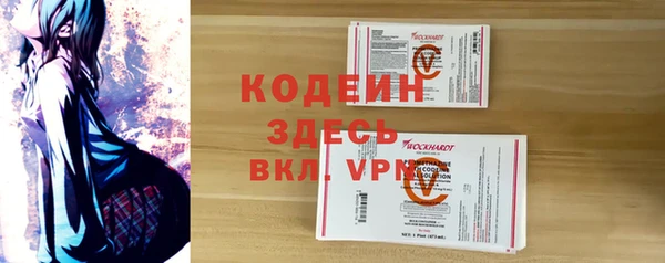 ПСИЛОЦИБИНОВЫЕ ГРИБЫ Вяземский