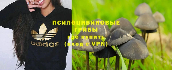 мдпв Вязьма