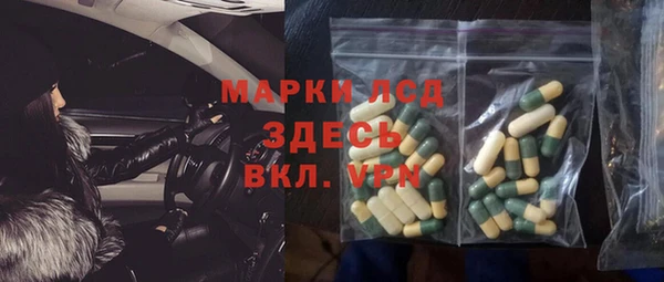 ПСИЛОЦИБИНОВЫЕ ГРИБЫ Вяземский