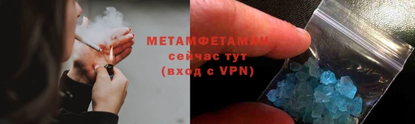 ПСИЛОЦИБИНОВЫЕ ГРИБЫ Вяземский
