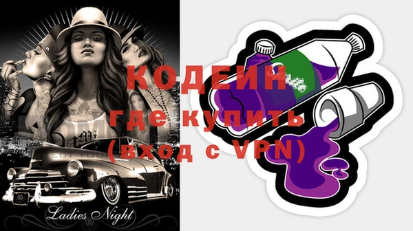 ПСИЛОЦИБИНОВЫЕ ГРИБЫ Вяземский
