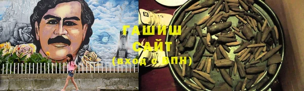 ПСИЛОЦИБИНОВЫЕ ГРИБЫ Вяземский