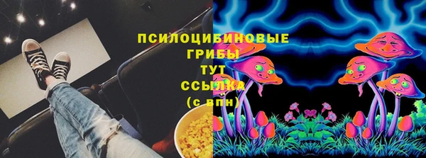 ПСИЛОЦИБИНОВЫЕ ГРИБЫ Вяземский