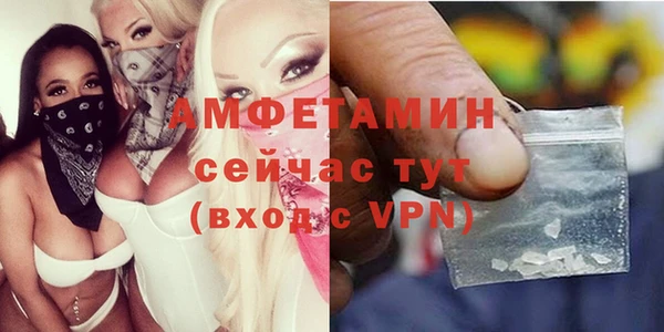 ПСИЛОЦИБИНОВЫЕ ГРИБЫ Вяземский