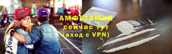 мдпв Вязьма