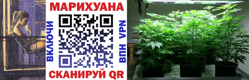 Каннабис MAZAR где можно купить Изобильный